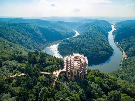 Baumwipfelpfad Baumwipfelpfad